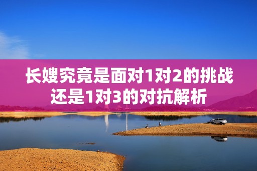 长嫂究竟是面对1对2的挑战还是1对3的对抗解析